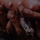 ��� ���������� . �� ������� ���� ����������