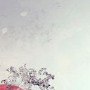 ���� Gera, ���������, 31 ��� - ��������� 5 ������ 2015 � ������ ���� ����������
