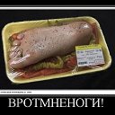 ���� ����, ����, 47 ��� - ��������� 6 ������� 2015 � ������ ������ ��������