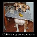 ���� Aleksandr, ���������, 54 ���� - ��������� 22 ������� 2014 � ������ ������ ��������