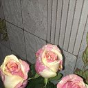 ���� ����, ����, 42 ���� - ��������� 4 ������ 2015 � ������ ���� ����������