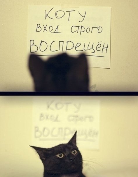 ��� ���� � ����� �� �� - 18 ������ 2015 � 11:33