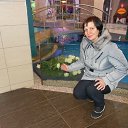 ���� ������, ��������� - ��������� 16 ����� 2015 � ������ ���� ����������