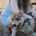 ���� ���������, �������� - ��������� 20 ������ 2015 � ������ ���� ����������