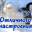 ���� ��������, ������ - ��������� 15 ������ 2015 � ������ ������ ��������