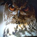 ���� �����, ������, 64 ���� - ��������� 4 ������ 2015 � ������ ���� ����������