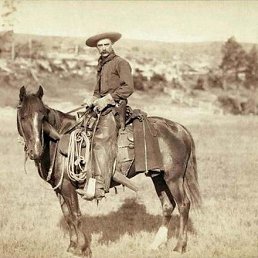 ��������, ��������, 37 ���