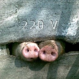 �������, ������