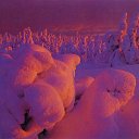 ���� Sergei, ���������, 62 ���� - ��������� 1 ������� 2015 � ������ ���������