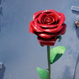 ���� �� �������.