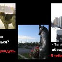 ���� ���4�@, ��������� - ��������� 25 ������� 2014 � ������ ������ ��������