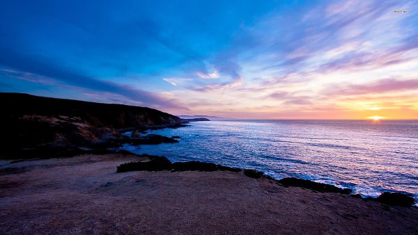 Bodega Head