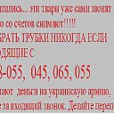 ���� ������, �����-��������� - ��������� 9 ������� 2015 � ������ ������ ��������