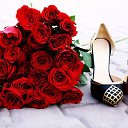 ���� Alisa, ������ - ��������� 15 ������� 2014 � ������ ���� ����������