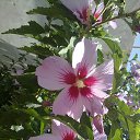 ���� ������ �������, �������, 67 ��� - ��������� 14 ����� 2015 � ������ �������