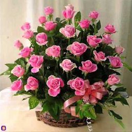 ���� Fifki, �������, 33 ���� - ��������� 10 ������ 2015