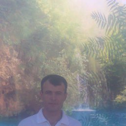 �����, ���������, 40 ���