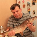 ���� ������, ������, 55 ��� - ��������� 24 ������� 2015