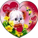 ���� ������, ����-�����������, 50 ��� - ��������� 14 ������� 2015 � ������ ������ ��������