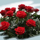 ���� �����, ��������, 61 ��� - ��������� 31 ����� 2015 � ������ ���� ����������