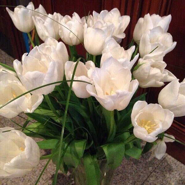   |  |  - 18  2015  23:03