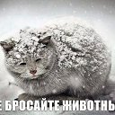 ���� ������, �����, 60 ��� - ��������� 1 ������� 2015 � ������ ������ ��������