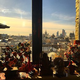 �����������