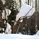 ���� �������� ���� ����������, ��������, 72 ���� - ��������� 5 ������� 2015 � ������ ���� ������� � ���� ������