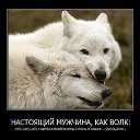 ���� Rok76i, �����-���������, 49 ��� - ��������� 24 ������� 2014 � ������ �������