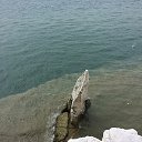 ���� �������, ������, 42 ���� - ��������� 20 ������ 2015 � ������ ���� ����������