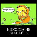 ���� �������, �����, 62 ���� - ��������� 12 ������ 2015 � ������ ������ ��������