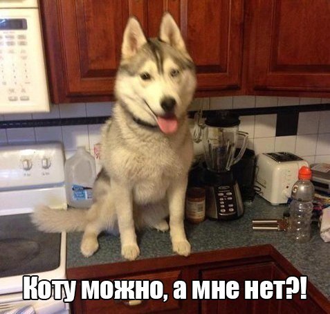       - 5  2015  17:03