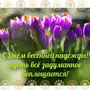 ���� ������, ������, 48 ��� - ��������� 3 ����� 2015 � ������ �������� ��������