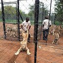 ���� ������, ������, 45 ��� - ��������� 26 ������� 2015 � ������ ���� ����������