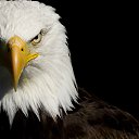 ���� �����, �����, 34 ���� - ��������� 13 ����� 2015 � ������ ������ ��������