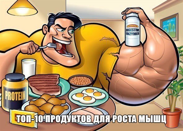 ТОП-10 продуктов для роста мышц: 1). Творог Творог – один из лучших продуктов для наращивания ...