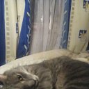 ���� ����, �����-���������, 44 ���� - ��������� 2 ����� 2015 � ������ ���� ����������