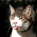 ���� ������, �����-���������, 44 ���� - ��������� 2 ������ 2015