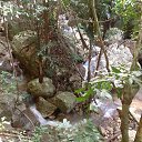 ��� ������������ �� ����� �������� ���������, ������ �� ����� � ������ ��� �������? 
����� �����: http://dengidomoy.ru/cent/ �� ������� ����