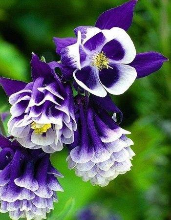 Чтобы не терять – нужно просто ценить. Запомните это.