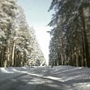 ���� ���������, ����, 46 ��� - ��������� 24 ����� 2015 � ������ ������ ��������