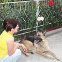 ���� �������, ��������, 46 ��� - ��������� 19 ������ 2015