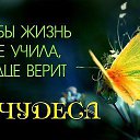 ���� ���������, �����, 66 ��� - ��������� 13 ������ 2015 � ������ ������ ��������