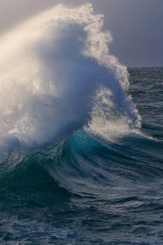  William Patino - 4