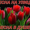 ���� �����, ��������, 61 ��� - ��������� 29 ����� 2015 � ������ �������� ��������