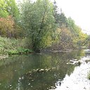 ������ �������� �� ������� ���� ����������