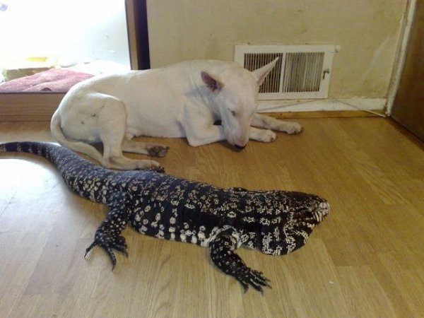     ,    .=============================  ...