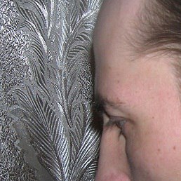 ����������, ������