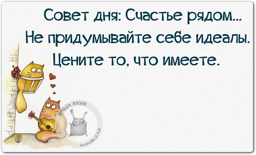 Совет на сегодня. Забавный совет дня. Советы дня смешные. Веселые советы на каждый день. Совет дня прикольный.