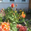 ���� Sandra, ������ - ��������� 14 ������ 2015 � ������ �������